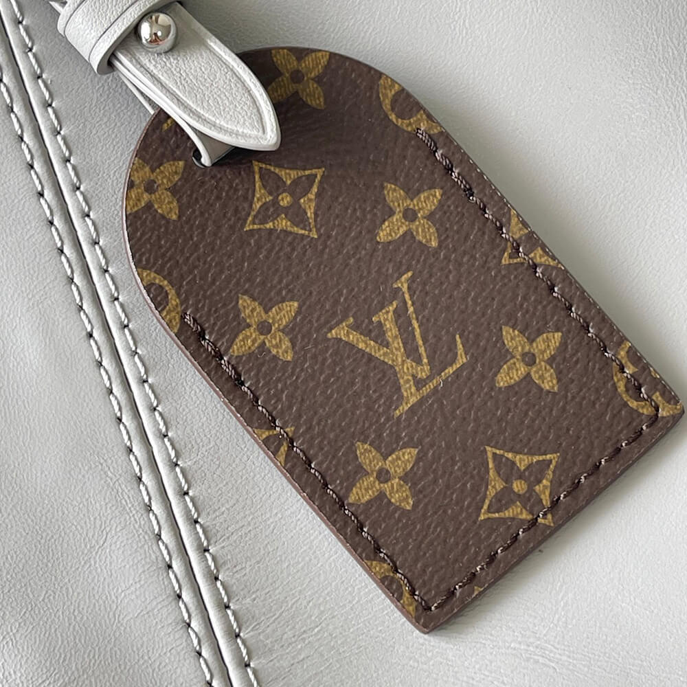 LV CarryAll Vibe MM Bag