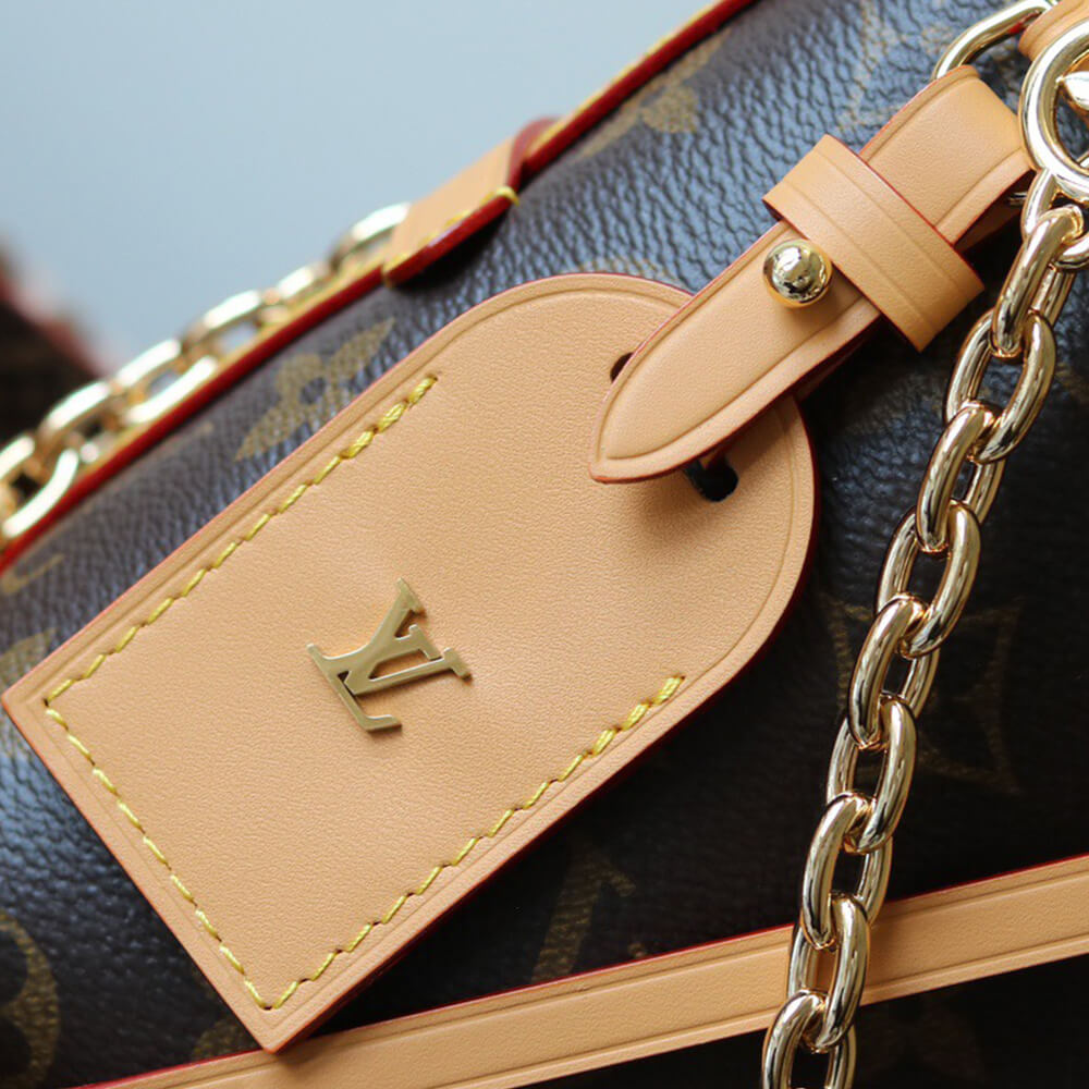 LV CARRYALL BB