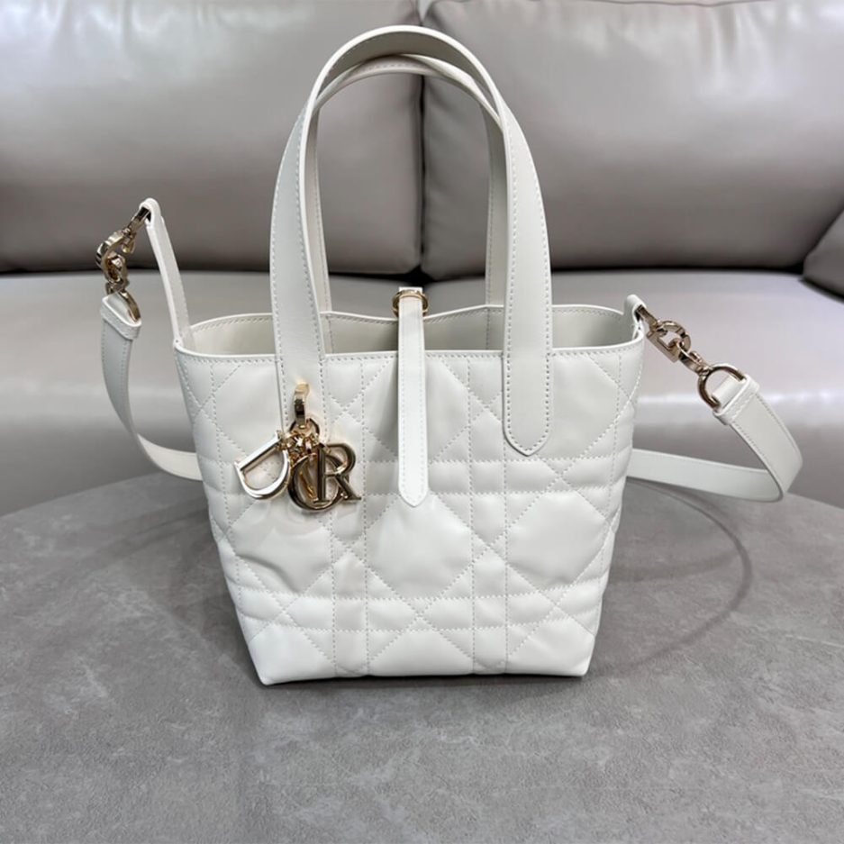 Small D10r Toujours Vertical Tote Bag