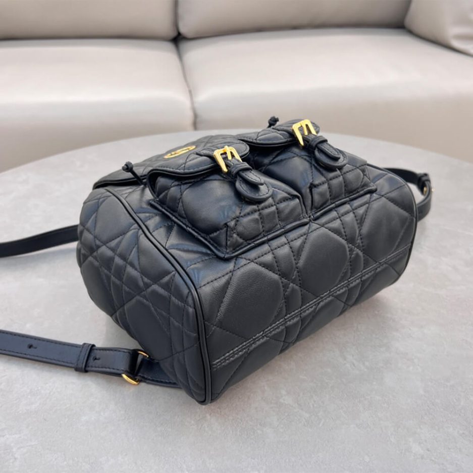 Medium D10r Caro Backpack