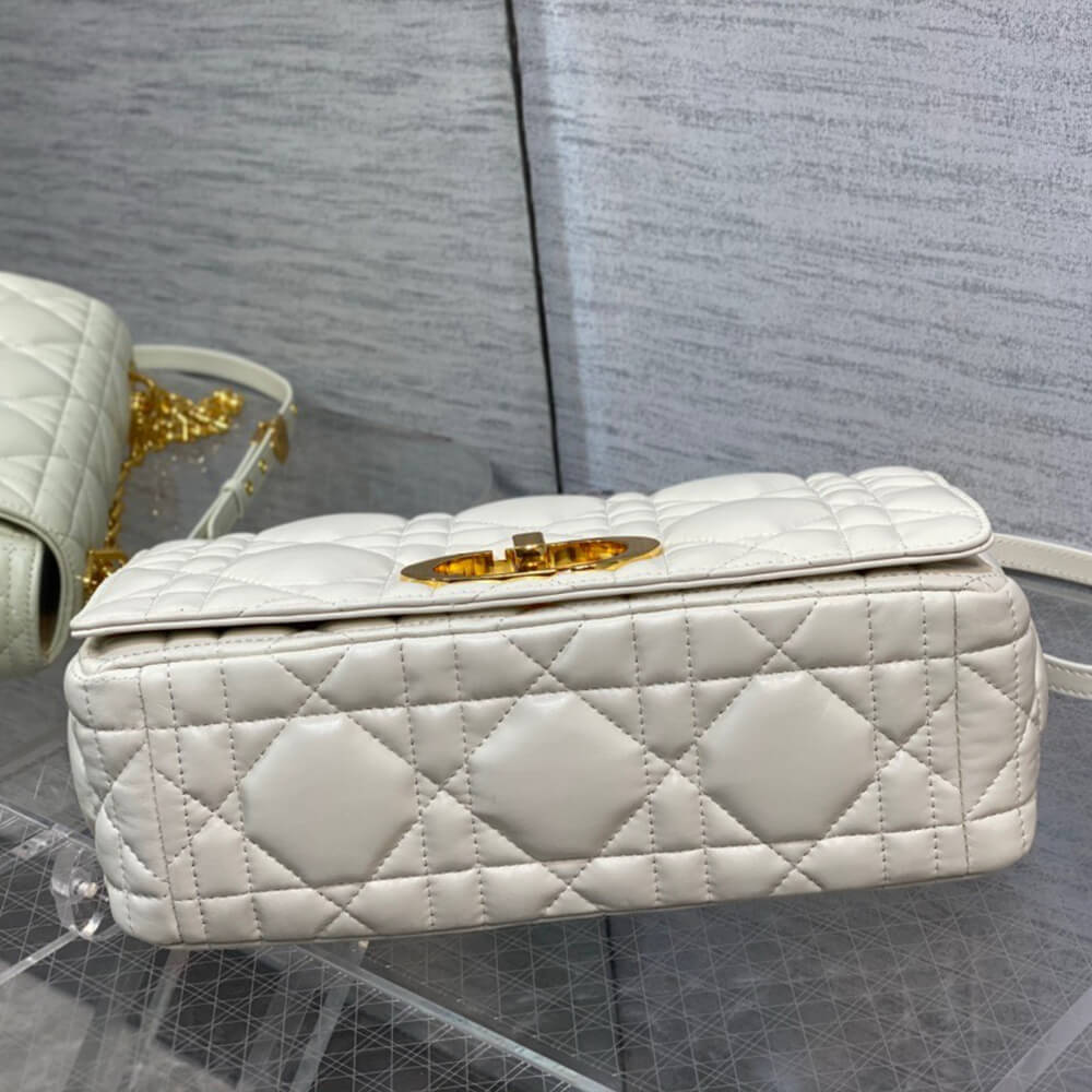 Large D10r Caro Bag