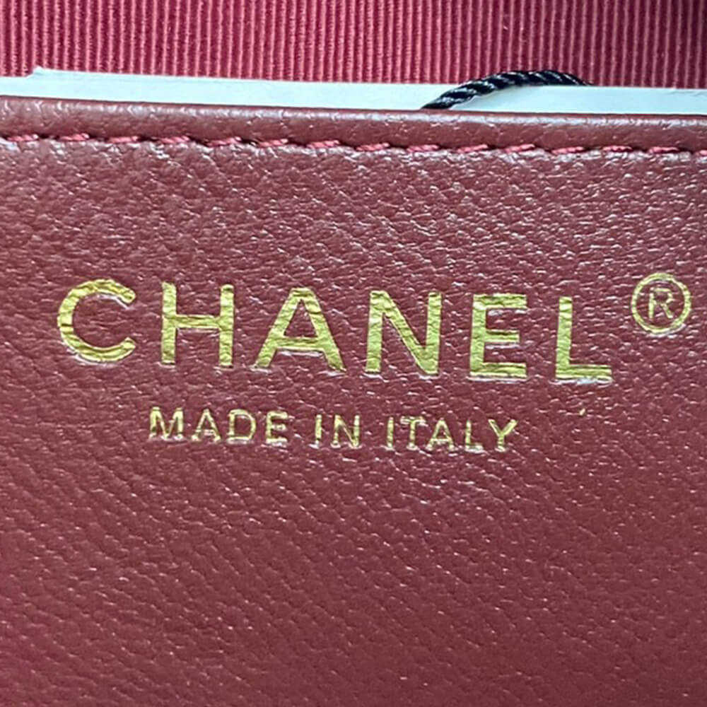 Ch**el Mini Camera Case