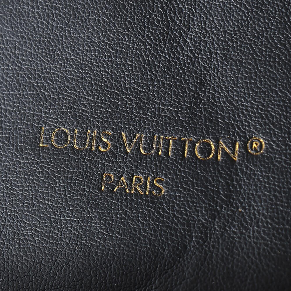 LV Coussin PM Backpack