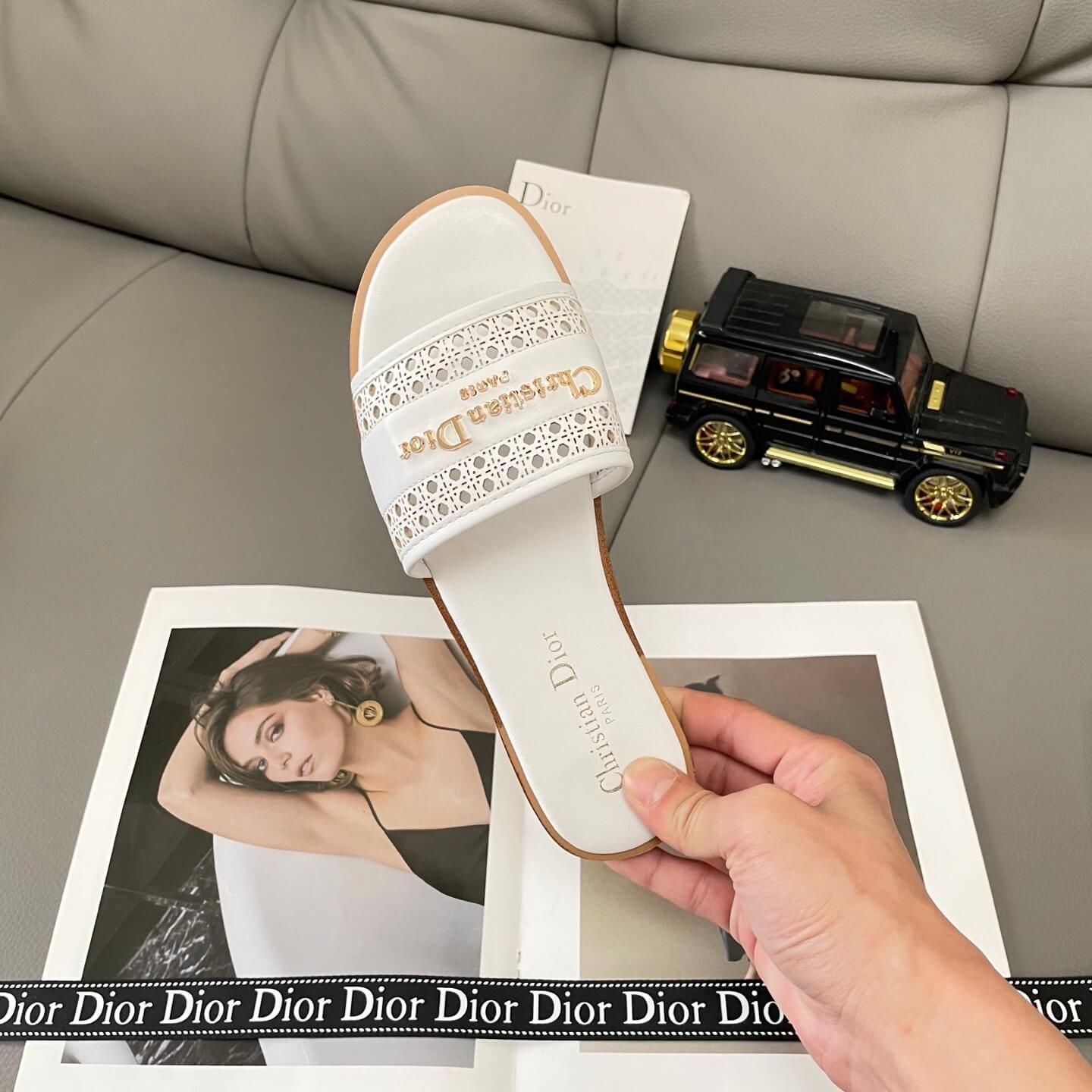 D10r D-Lane Slides