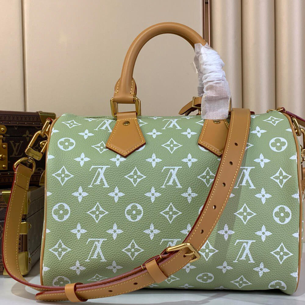 LV Speedy P9 Bandoulière 30 Bag