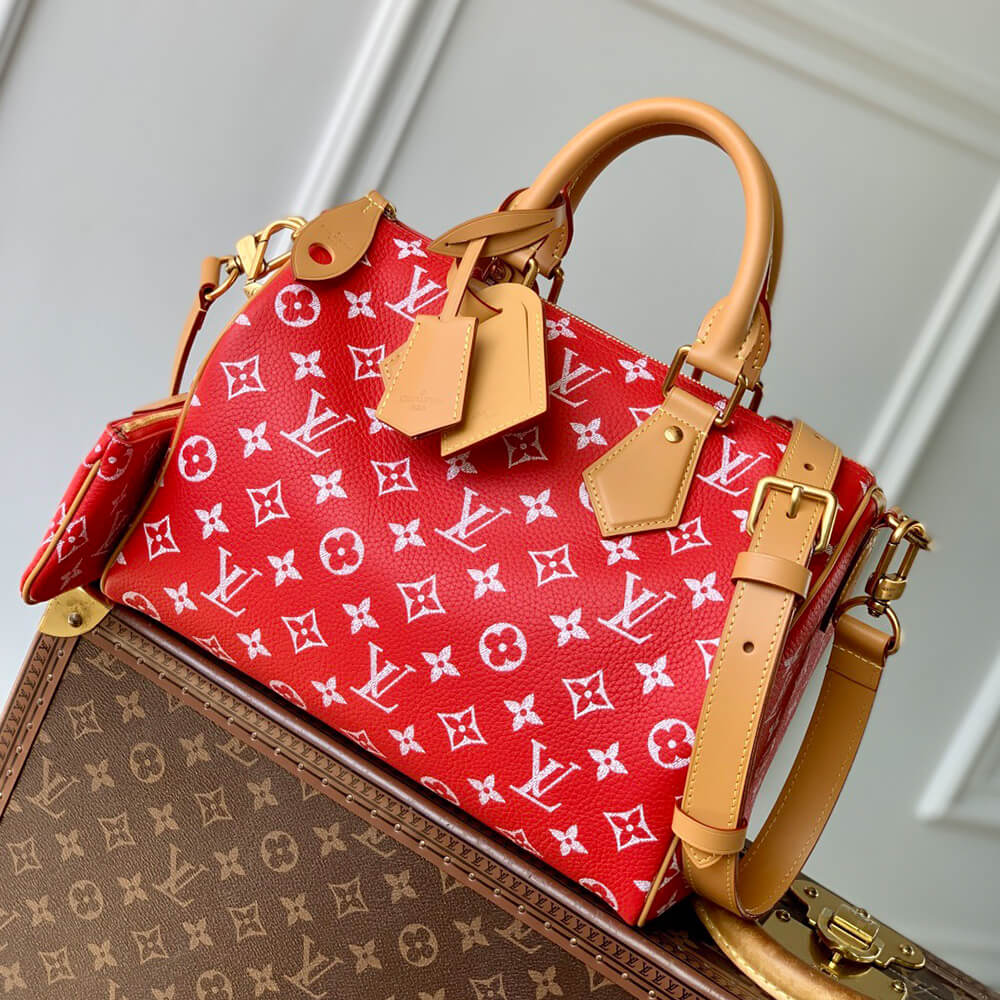 LV Speedy P9 Bandoulière 30 Bag