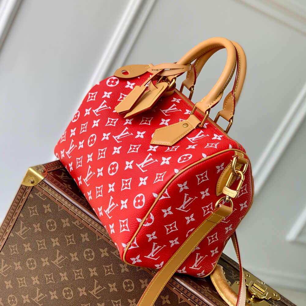 LV Speedy P9 Bandoulière 30 Bag