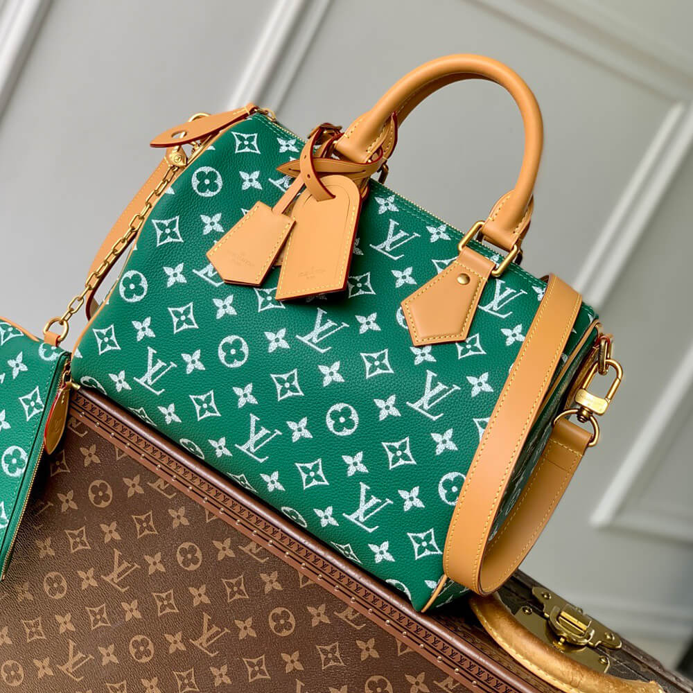 LV Speedy P9 Bandoulière 30 Bag