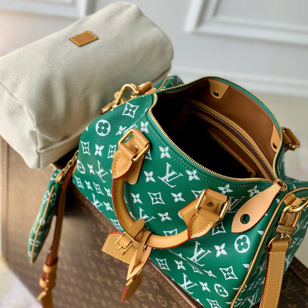 LV Speedy P9 Bandoulière 30 Bag