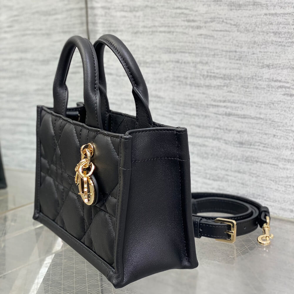 Mini D10r Book Tote(high-end grade)
