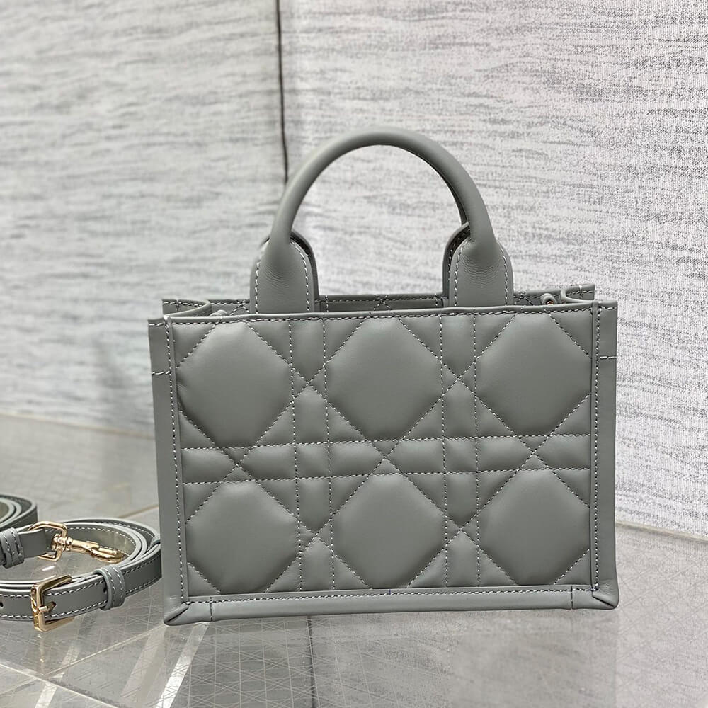 Mini D10r Book Tote(high-end grade)