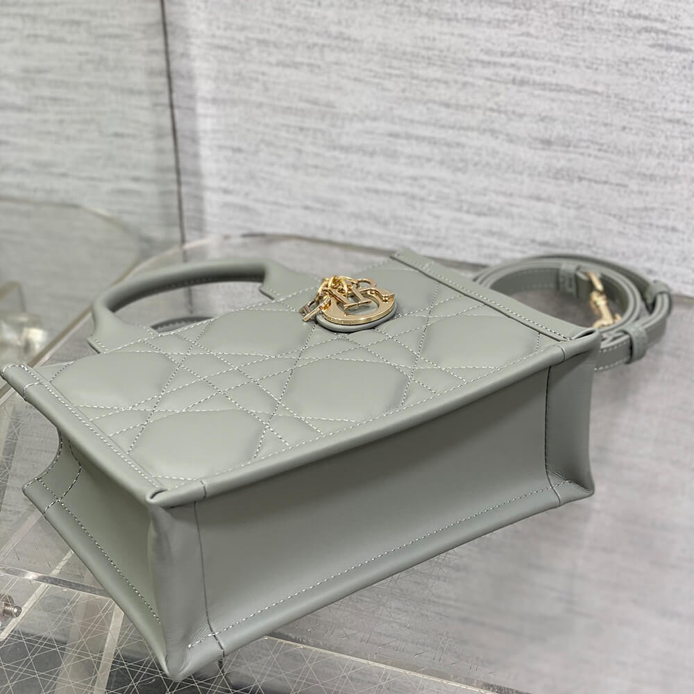 Mini D10r Book Tote(high-end grade)