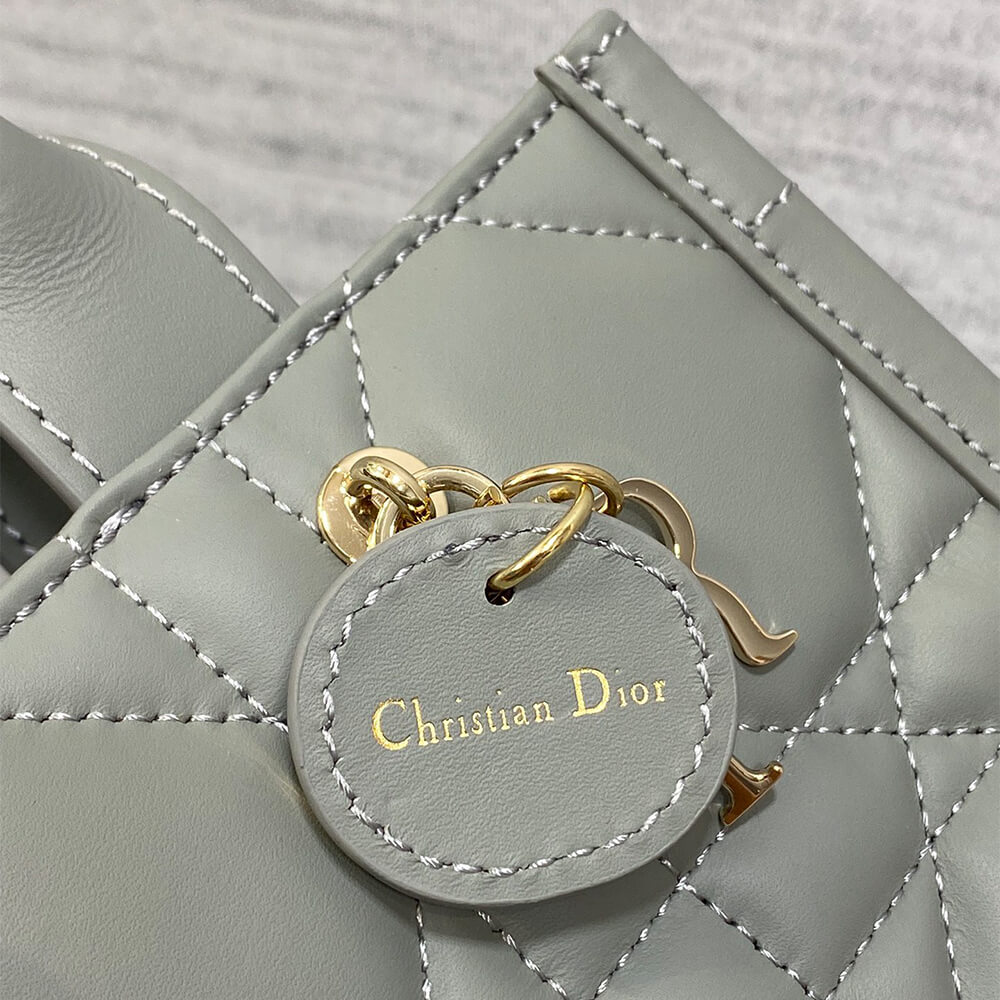 Mini D10r Book Tote(high-end grade)