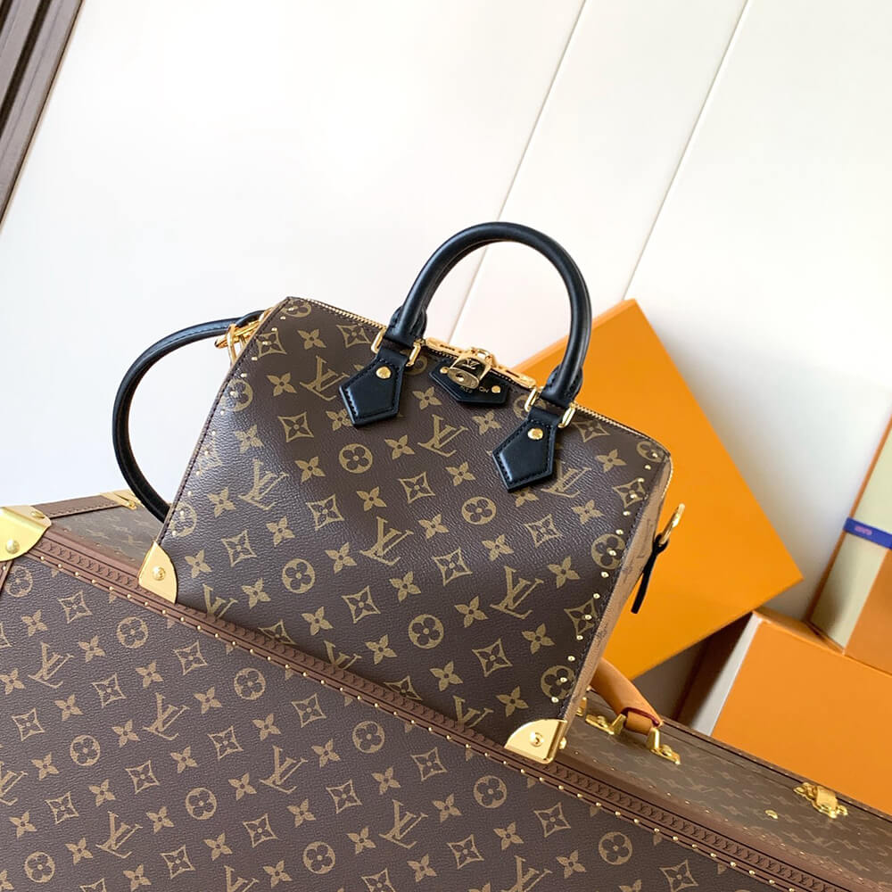 LV Speedy Trunk 25(HIGH-END GRADE)
