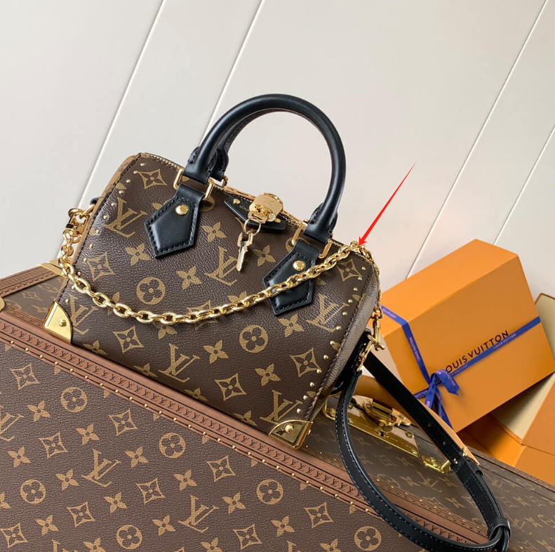 Detachable Gold Chain Strap for Speedy Trunk 20