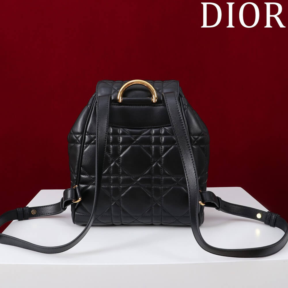Medium D10r Caro Backpack(HIGH-END GRADE)