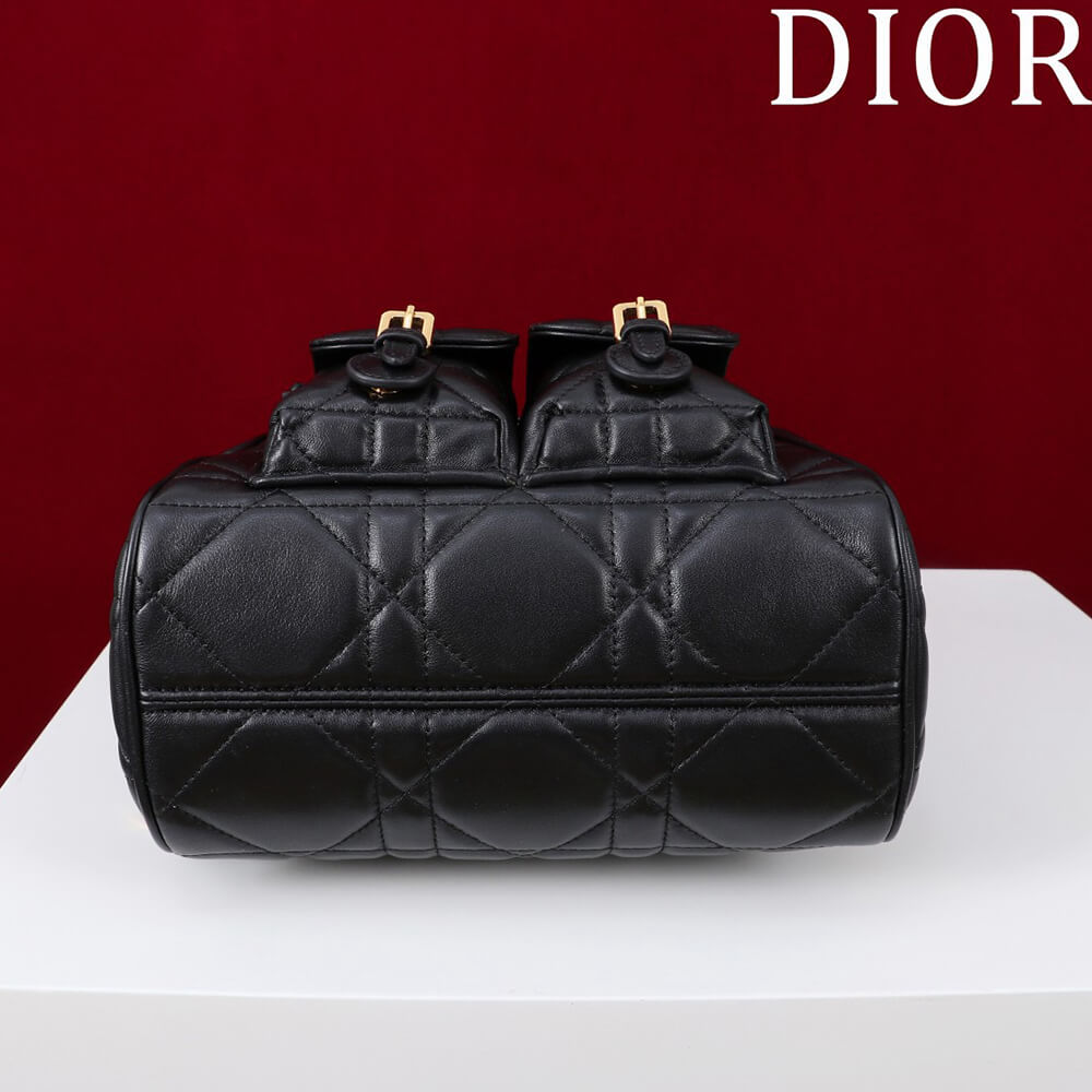 Medium D10r Caro Backpack(HIGH-END GRADE)